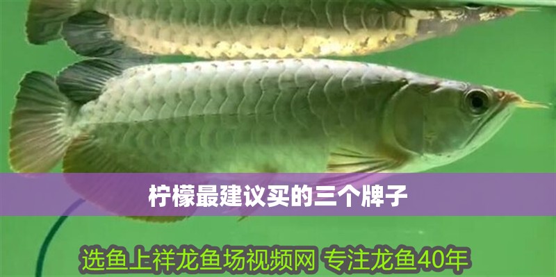 檸檬最建議買的三個牌子