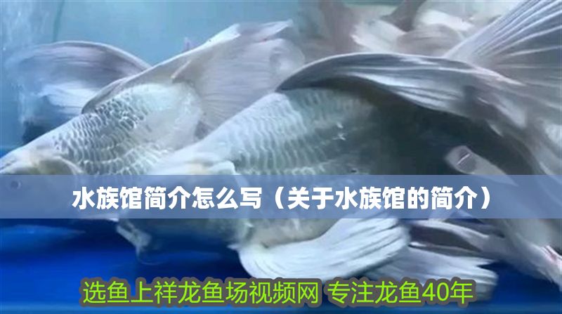水族館簡介怎么寫（關(guān)于水族館的簡介）