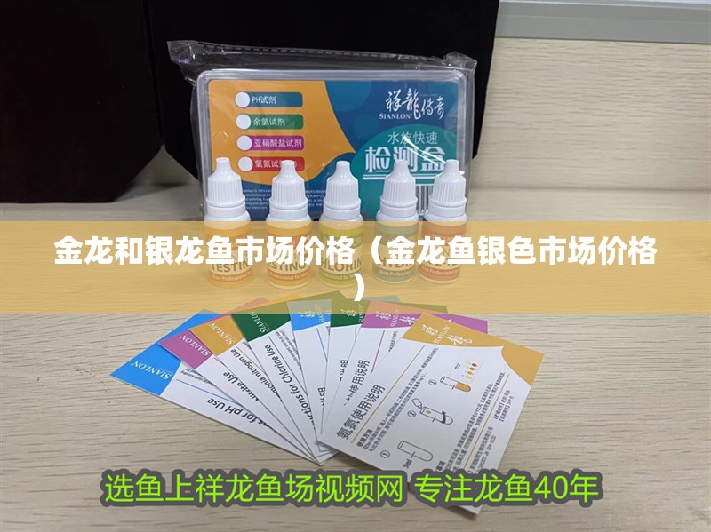 金龍和銀龍魚市場價格（金龍魚銀色市場價格）