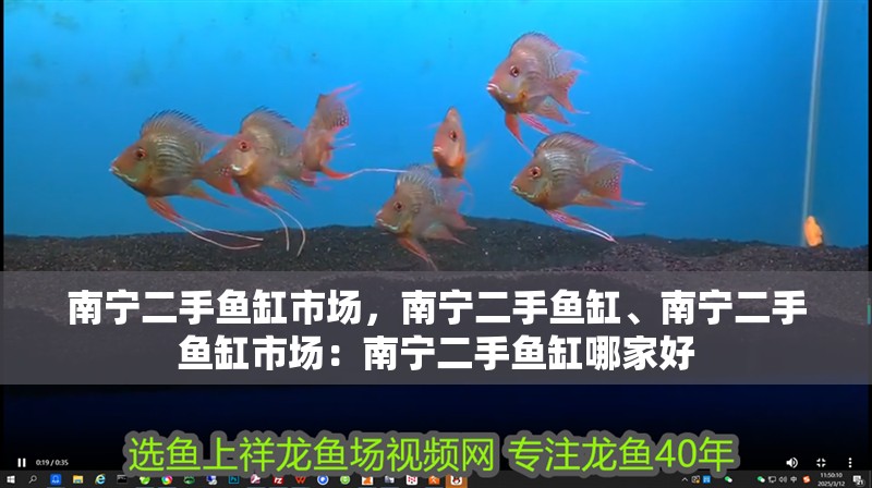 南寧二手魚缸市場，南寧二手魚缸、南寧二手魚缸市場：南寧二手魚缸哪家好