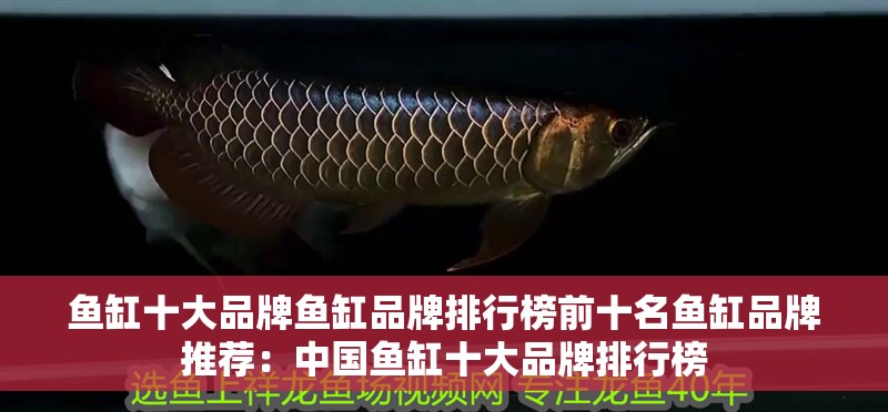 魚缸十大品牌魚缸品牌排行榜前十名魚缸品牌推薦：中國魚缸十大品牌排行榜