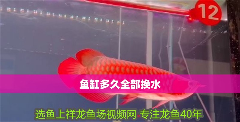 魚缸多久全部換水