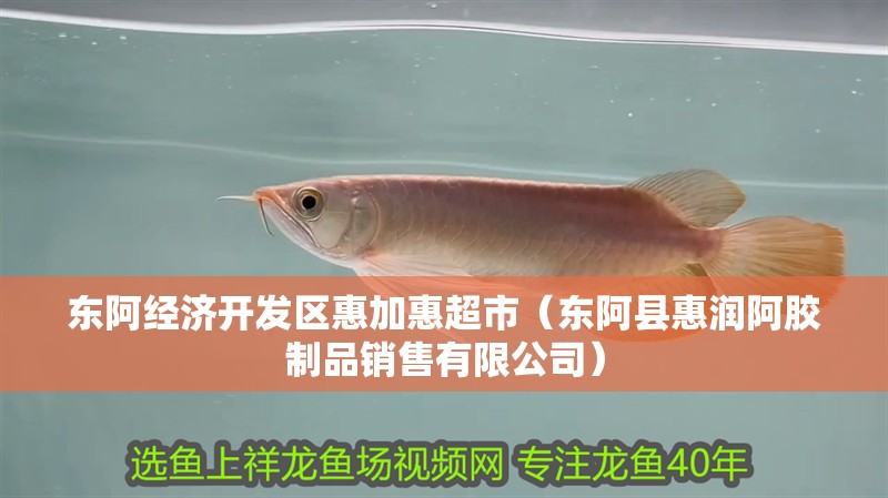 東阿經濟開發區惠加惠超市（東阿縣惠潤阿膠制品銷售有限公司）