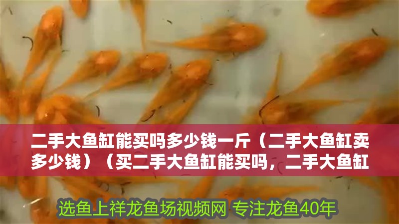 二手大魚缸能買嗎多少錢一斤（二手大魚缸賣多少錢）（買二手大魚缸能買嗎，二手大魚缸能買嗎）