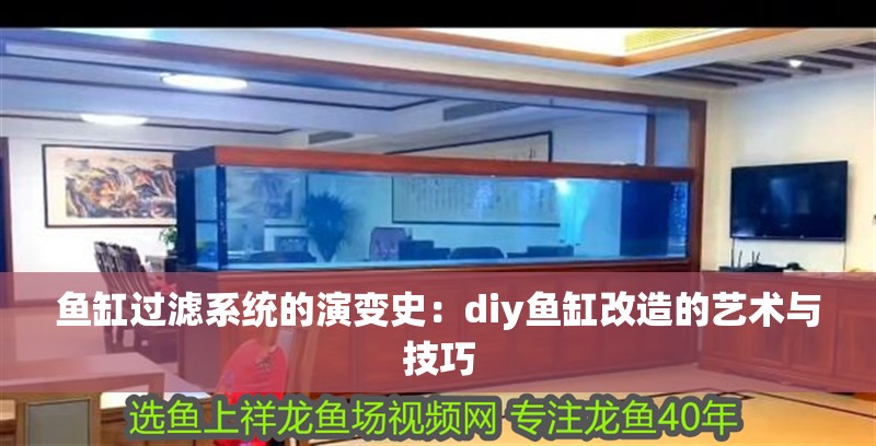 魚缸過濾系統的演變史：diy魚缸改造的藝術與技巧