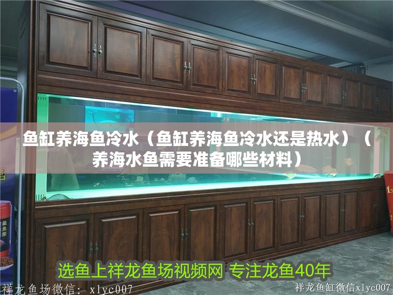 魚缸養(yǎng)海魚冷水（魚缸養(yǎng)海魚冷水還是熱水）（養(yǎng)海水魚需要準(zhǔn)備哪些材料）