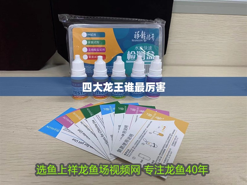 四大龍王誰最厲害