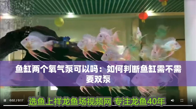魚缸兩個氧氣泵可以嗎：如何判斷魚缸需不需要雙泵