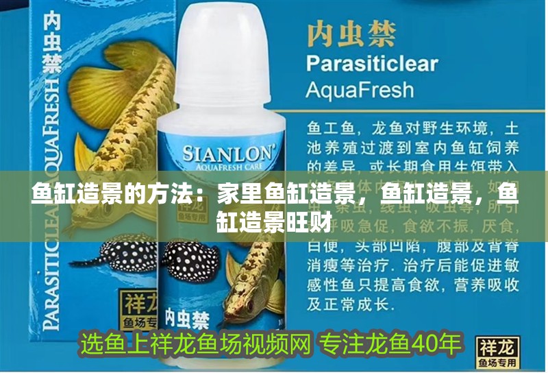 魚缸造景的方法：家里魚缸造景，魚缸造景，魚缸造景旺財