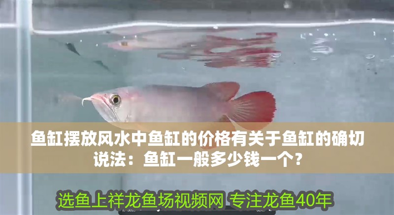 魚缸擺放風水中魚缸的價格有關于魚缸的確切說法：魚缸一般多少錢一個？