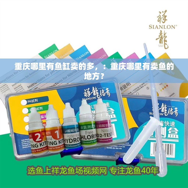 重慶哪里有魚缸賣的多，：重慶哪里有賣魚的地方？