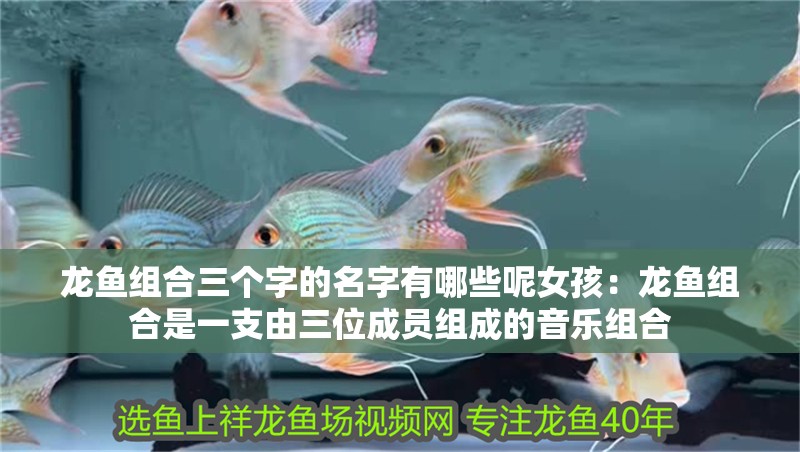 龍魚組合三個字的名字有哪些呢女孩：龍魚組合是一支由三位成員組成的音樂組合
