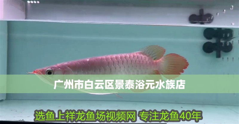 廣州市白云區(qū)景泰浴元水族店
