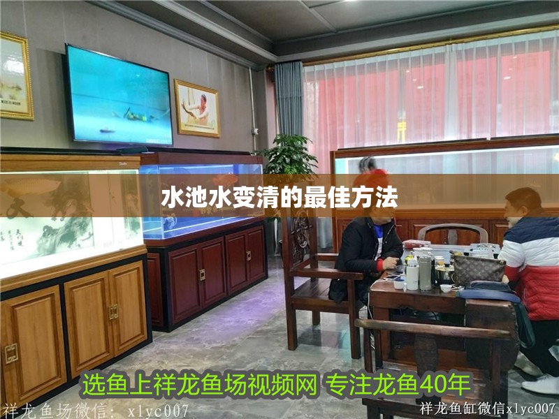 水池水變清的最佳方法