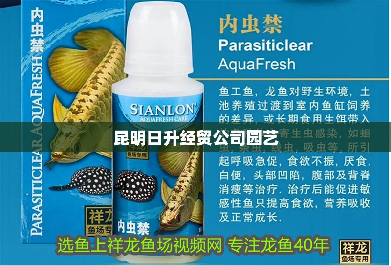 昆明日升經貿公司園藝