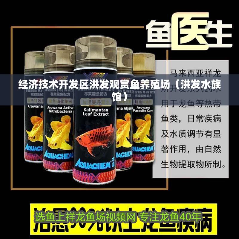 經(jīng)濟技術(shù)開發(fā)區(qū)洪發(fā)觀賞魚養(yǎng)殖場（洪發(fā)水族館）