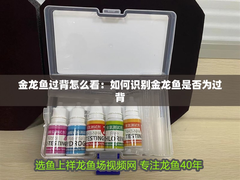 金龍魚過背怎么看：如何識別金龍魚是否為過背