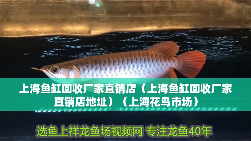 上海魚(yú)缸回收廠家直銷店（上海魚(yú)缸回收廠家直銷店地址）（上海花鳥(niǎo)市場(chǎng)）