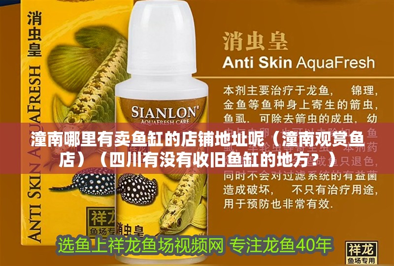 <strong><mark>潼南</mark></strong>哪里有賣魚缸的店鋪地址呢（<strong><mark>潼南</mark></strong>觀賞魚店）（四川有沒有收舊魚缸的地方？）