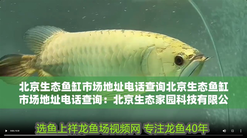 北京生態(tài)魚缸市場地址電話查詢北京生態(tài)魚缸市場地址電話查詢：北京生態(tài)家園科技有限公司