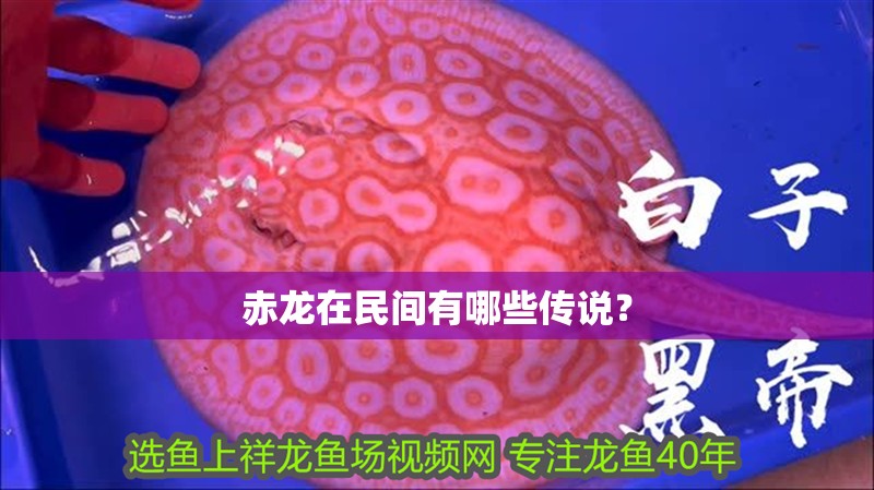 赤龍在民間有哪些傳說？