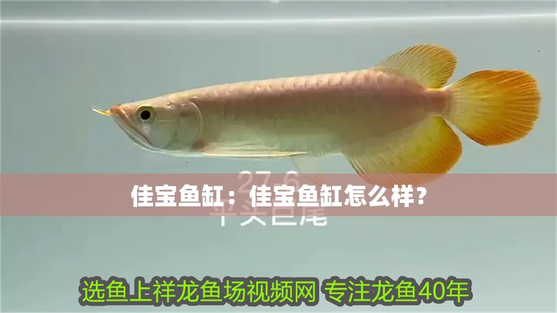 佳寶魚缸：佳寶魚缸怎么樣？