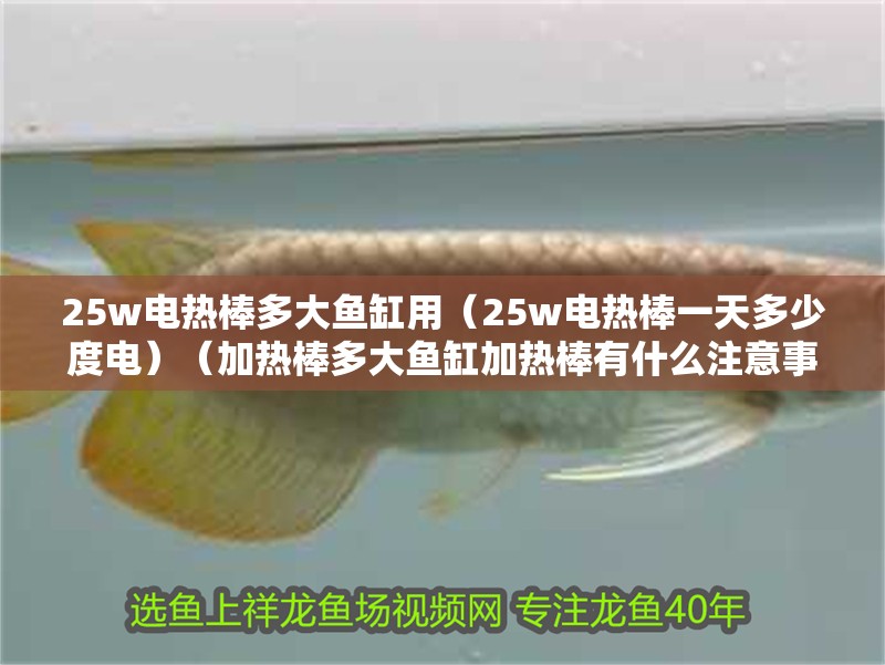 25w電熱棒多大魚缸用（25w電熱棒一天多少度電）（加熱棒多大魚缸加熱棒有什么注意事項,25w電熱棒有什么注意事項）