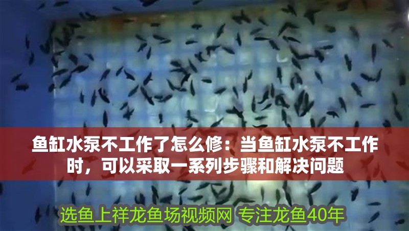魚缸水泵不工作了怎么修：當魚缸水泵不工作時，可以采取一系列步驟和解決問題