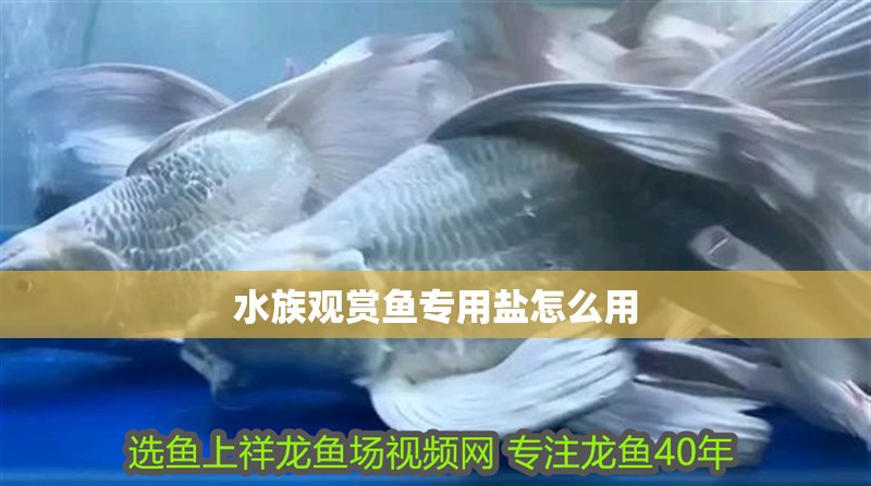 水族觀賞魚專用鹽怎么用