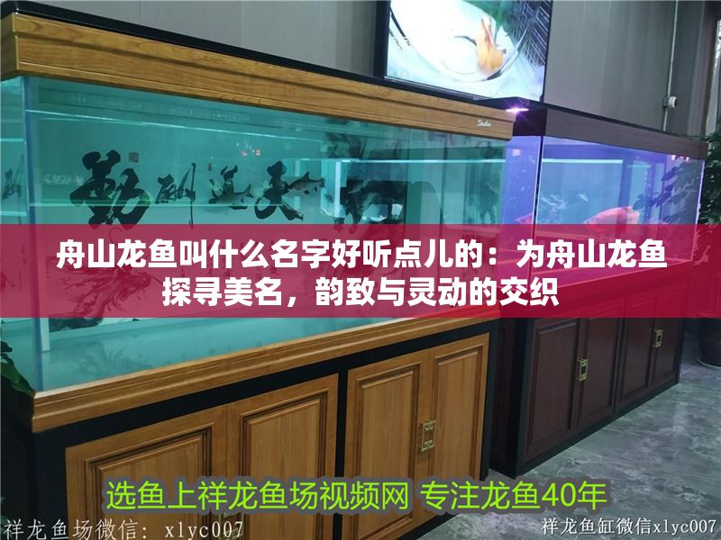 <strong><mark>舟山</mark></strong>龍魚叫什么名字好聽點兒的：為<strong><mark>舟山</mark></strong>龍魚探尋美名，韻致與靈動的交織