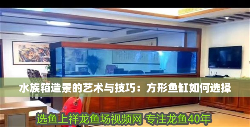 水族箱造景的藝術(shù)與技巧：方形魚缸如何選擇