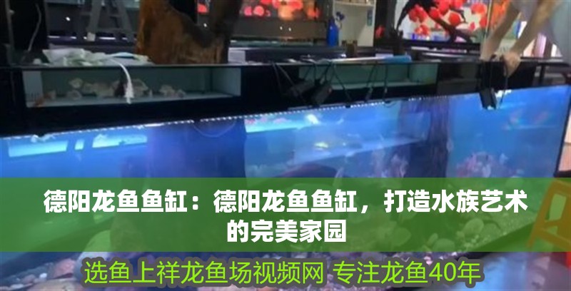 德陽龍魚魚缸：德陽龍魚魚缸，打造水族藝術的完美家園