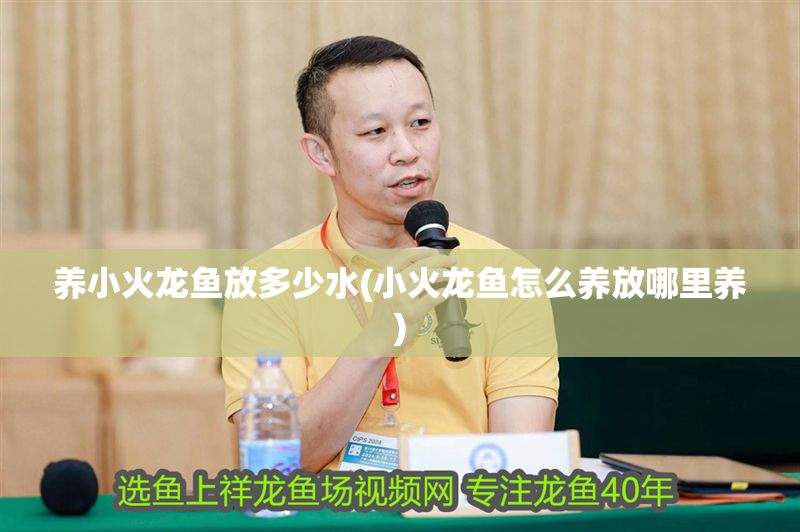 養(yǎng)小火龍魚放多少水(小火龍魚怎么養(yǎng)放哪里養(yǎng))