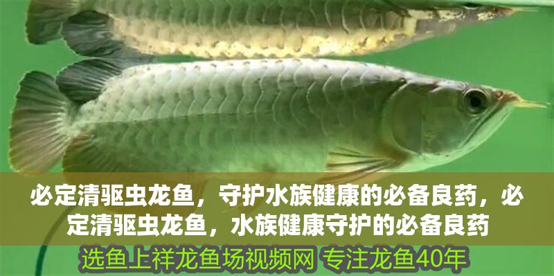 必定清驅蟲龍魚，守護水族健康的必備良藥，必定清驅蟲龍魚，水族健康守護的必備良藥