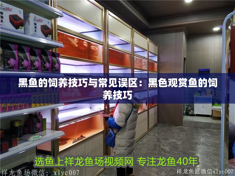 黑魚的飼養(yǎng)技巧與常見誤區(qū)：黑色觀賞魚的飼養(yǎng)技巧