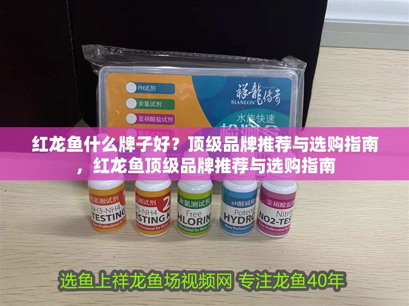 紅龍魚什么牌子好？頂級品牌推薦與選購指南，紅龍魚頂級品牌推薦與選購指南