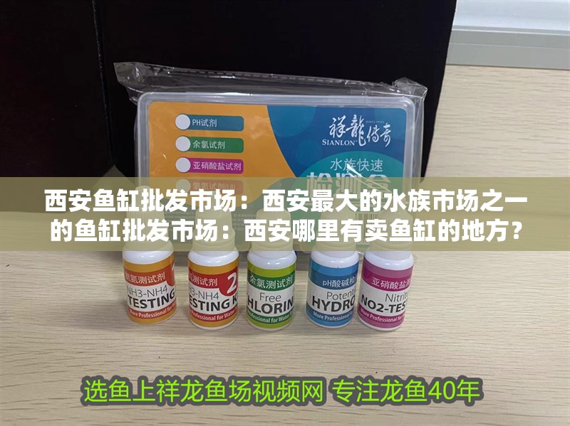 西安魚缸批發市場：西安最大的水族市場之一的魚缸批發市場：西安哪里有賣魚缸的地方？ 西安魚缸批發市場：西安最大的水族市場之一的魚缸批發市場：西安哪里有賣魚缸的地方？ 魚缸百科
