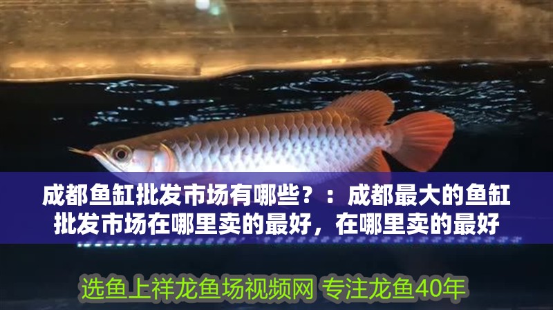 成都魚缸批發市場有哪些？：成都最大的魚缸批發市場在哪里賣的最好，在哪里賣的最好