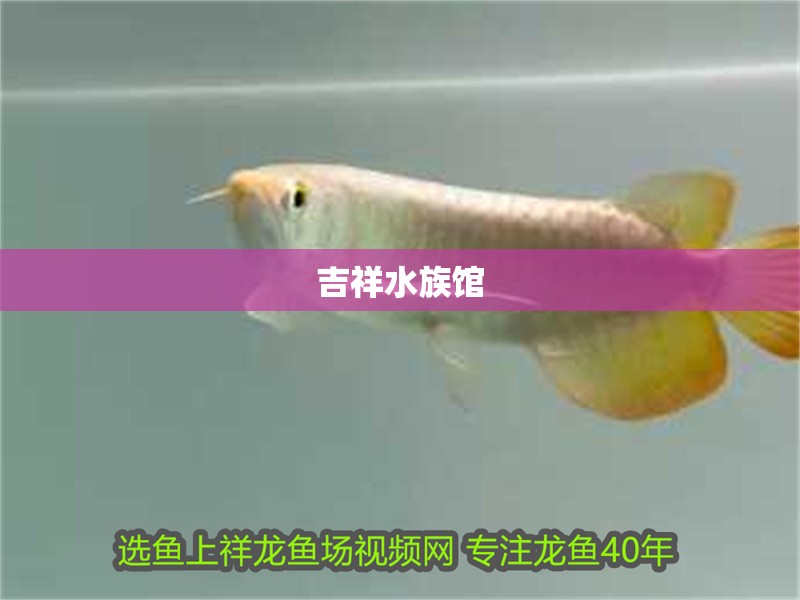 吉祥水族館