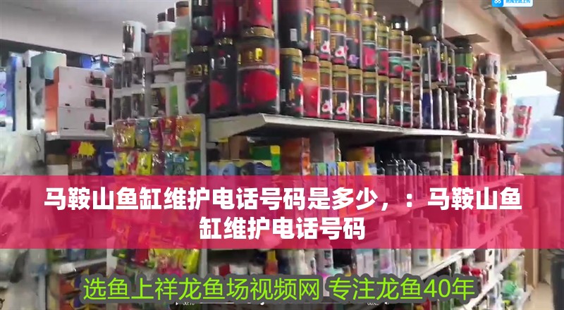 馬鞍山魚缸維護電話號碼是多少，：馬鞍山魚缸維護電話號碼