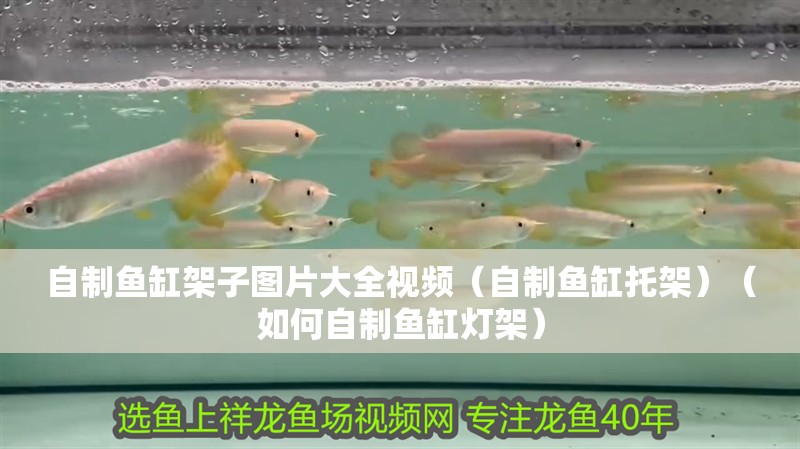 自制魚缸架子圖片大全視頻（自制魚缸托架）（如何自制魚缸燈架）
