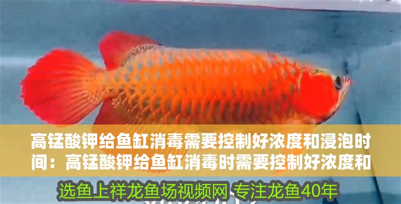 高錳酸鉀給魚缸消毒需要控制好濃度和浸泡時間：高錳酸鉀給魚缸消毒時需要控制好濃度和浸泡時間