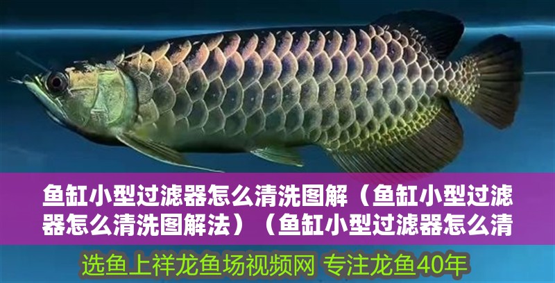 魚缸小型過濾器怎么清洗圖解（魚缸小型過濾器怎么清洗圖解法）（魚缸小型過濾器怎么清洗）