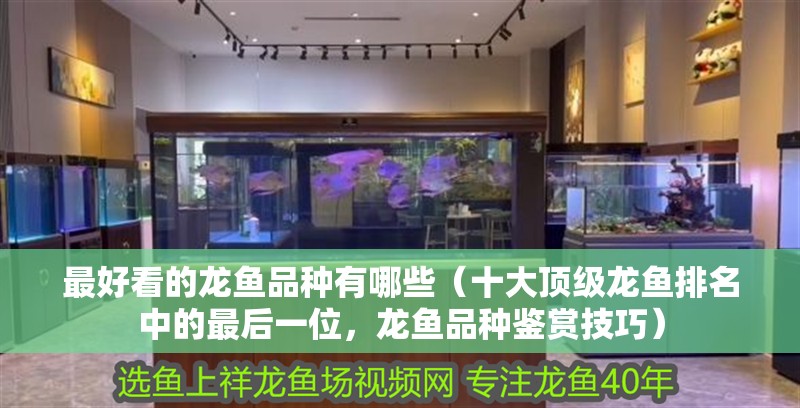 最好看的龍魚品種有哪些（十大頂級龍魚排名中的最后一位，龍魚品種鑒賞技巧）