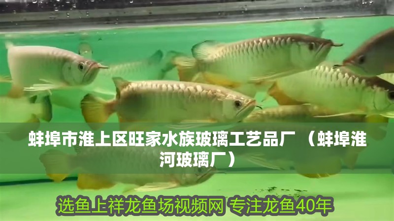蚌埠市淮上區(qū)旺家水族玻璃工藝品廠 （蚌埠淮河玻璃廠）