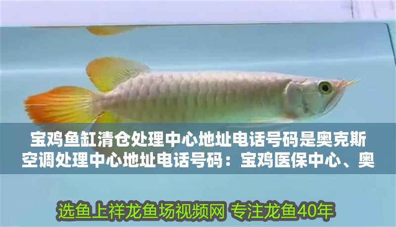 寶雞魚缸清倉處理中心地址電話號碼是奧克斯空調處理中心地址電話號碼：寶雞醫保中心、奧克斯家電、奧克斯空調、奧克斯空調、奧克斯空調
