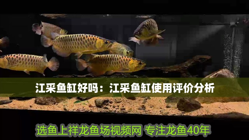 江采魚缸好嗎：江采魚缸使用評價分析