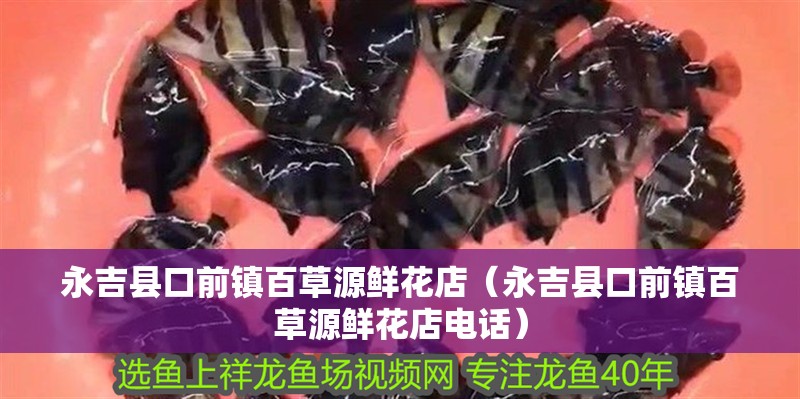 永吉縣口前鎮百草源鮮花店（永吉縣口前鎮百草源鮮花店電話）