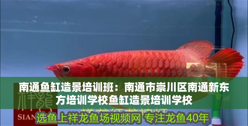 南通魚缸造景培訓班：南通市崇川區南通新東方培訓學校魚缸造景培訓學校