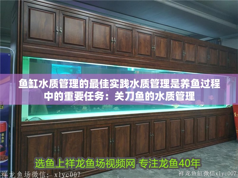 魚缸水質(zhì)管理的最佳實(shí)踐水質(zhì)管理是養(yǎng)魚過程中的重要任務(wù)：關(guān)刀魚的水質(zhì)管理